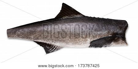 Cobia carcass without the head on a white background