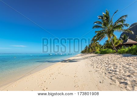 Le Morne Mauritius - December 11 2015: Amazing white beaches of Mauritius island. Tropical vacation in Le Morne Beach Mauritius.