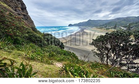 View of Piha beach in New Zealand from the slopes of Lion's rock