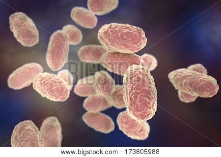 Bacteria Bordetella pertussis, 3D illustration. Gram-negative coccobacilli bacteria which cause children infection whooping cough