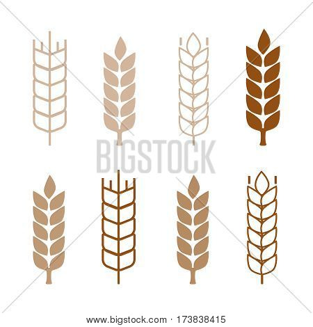 Set of simple wheat ears icons and wheat design elements. Wheat vector