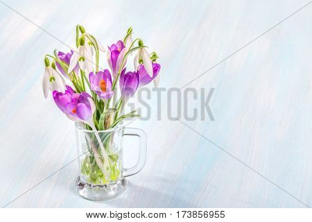 Bouquet of snowdrops and crocuses on a rustic background