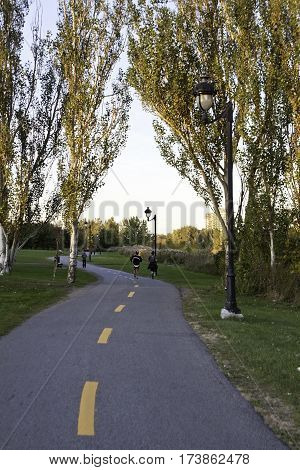 Lasalle, Quebec, October 4, 2015 -- Vertical of two people jogging down a long walking path going through colorful trees and foliage in Woodland Park in Lasalle, Quebec on a bright sunny day in October.