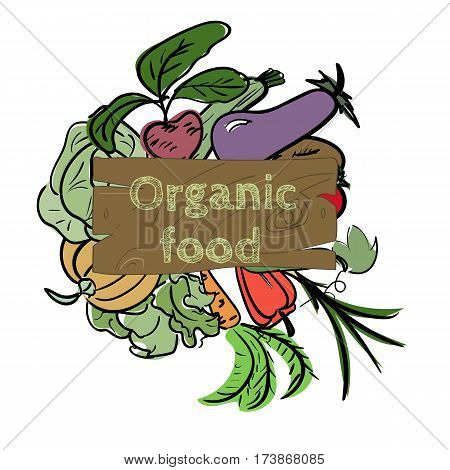 Hand drawn sketch watercolor vegetable icon with text on vintage board. Organic healthy food vector illustration