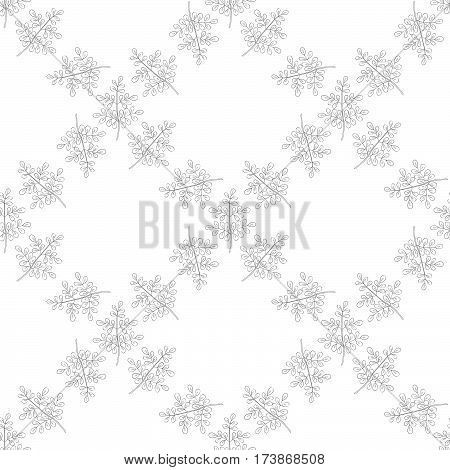 Moringa oleifera medicinal plant. Hand drawn botanical sketch illustration. Seamless pattern.