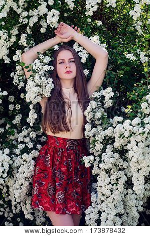 Beautiful Model Range Bush Of White Flowers