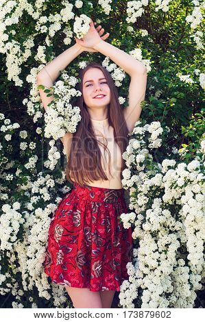 Beautiful Model Range Bush Of White Flowers