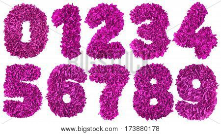 Handmade number set from magenta color crepe paper isolated on white background. Set of pink numbers from scraps of paper
