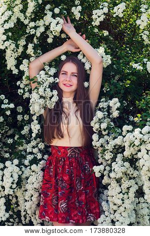 Beautiful Model Range Bush Of White Flowers
