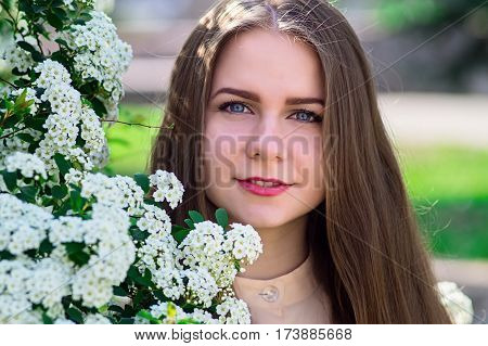 Beautiful Model Range Bush Of White Flowers