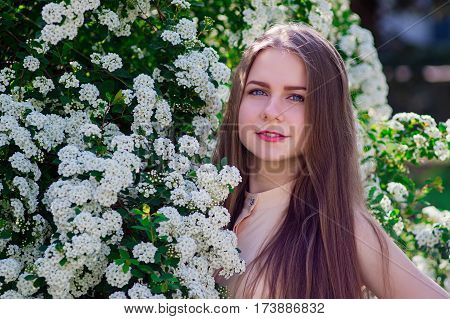 Beautiful Model Range Bush Of White Flowers