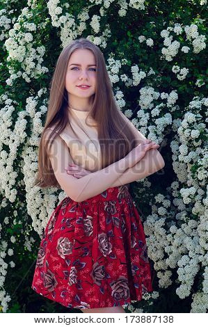 Beautiful Model Range Bush Of White Flowers