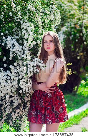 Beautiful Model Range Bush Of White Flowers