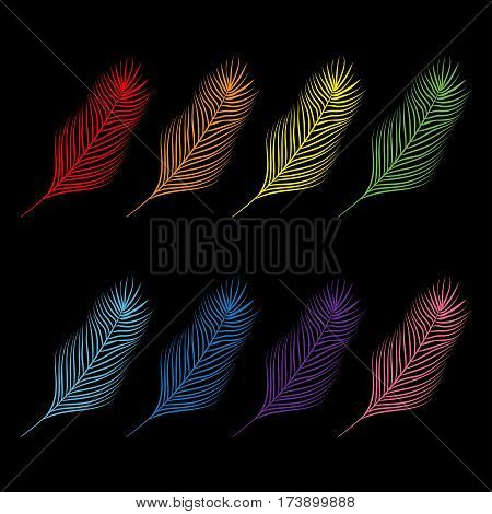 Feather set collection. Colorful collection. Isolated. Black background Flat design. Vector illustration