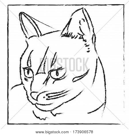 Black outline a simple portrait of a cat in the box