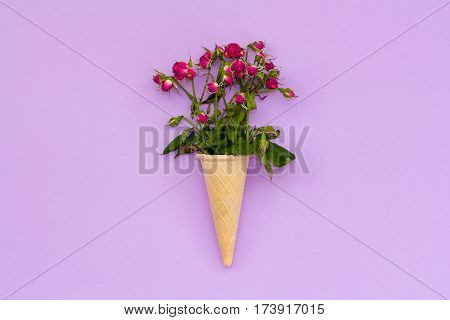 A Bouquet Of Dried Roses In A Waffle Cone On Pink Background.