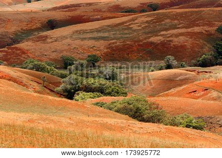 Madagascar Countryside Highland Landscape