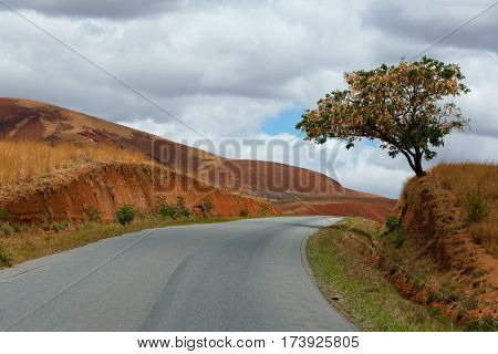Road Through Madagascar Highland Countryside Landscape.