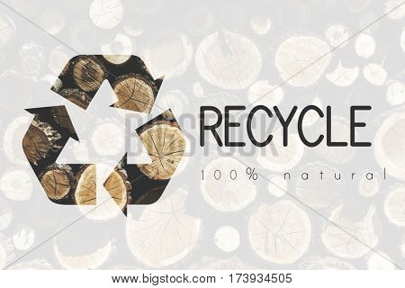 Recycle Environmental Conservation Nature Ecology