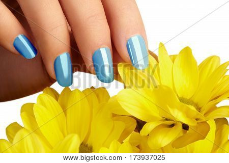 Manicured Nails With Natural Nail Polish. Manicure With Blue Nailpolish. Fashion Manicure. Shiny Gel