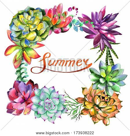 Wildflower succulentus flower frame in a watercolor style isolated. Full name of the plant: succulentus. Aquarelle wild flower for background, texture, wrapper pattern, frame or border.