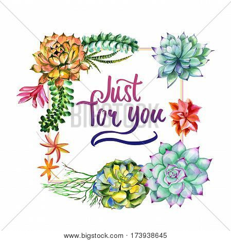 Wildflower succulentus flower frame in a watercolor style isolated. Full name of the plant: succulentus. Aquarelle wild flower for background, texture, wrapper pattern, frame or border.