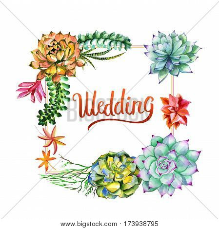 Wildflower succulentus flower frame in a watercolor style isolated. Full name of the plant: succulentus. Aquarelle wild flower for background, texture, wrapper pattern, frame or border.