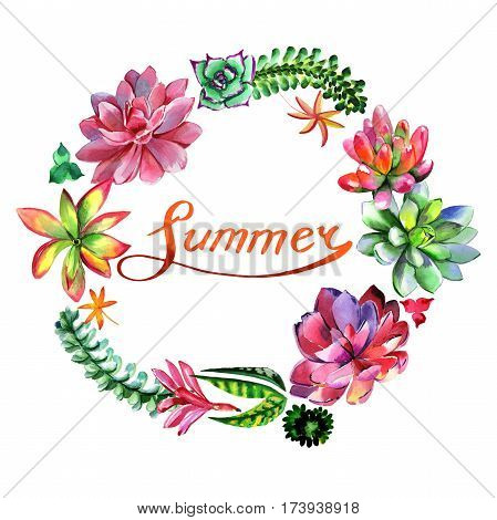 Wildflower succulentus flower frame in a watercolor style isolated. Full name of the plant: succulentus. Aquarelle wild flower for background, texture, wrapper pattern, frame or border.