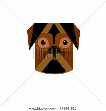 pug dog vector breed illustration purebred animal