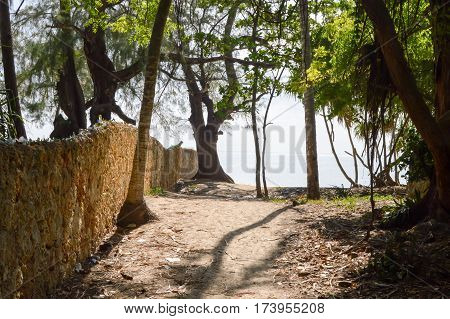 Earth trail overlooking Bamburi beach in Kenya