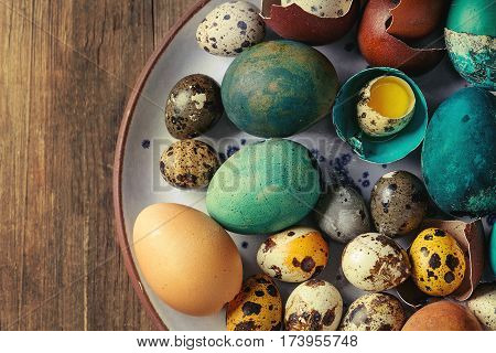 Colored Easter blue brown chicken and quail eggs, whole and broken with yolk in shell in spotted plate over old wooden textured background. Top view, close up