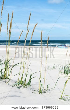 Baltic sea