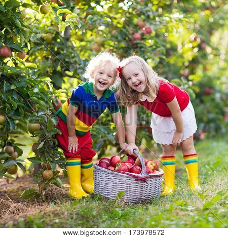 Kids Picking Apples In Fruit Garden