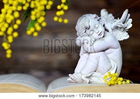 Little angel figurine and mimosa flower on the book