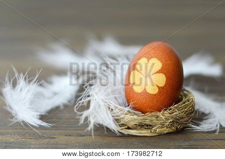 Easter egg in the nest and feathers