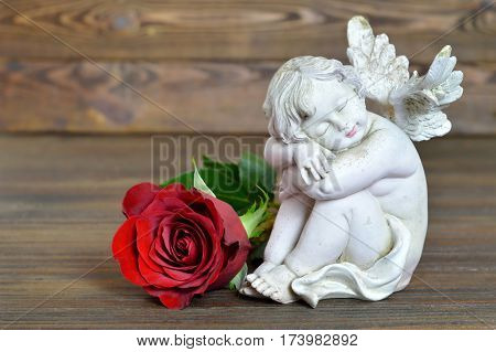 Little angel and rose on wooden background