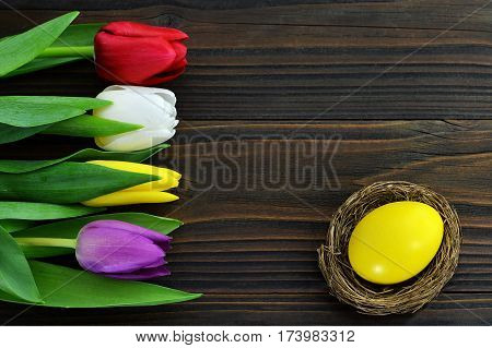 Easter background: Easter egg in the nest and tulips on wooden background