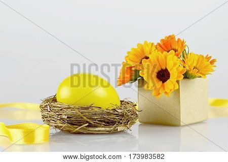 Easter egg in the nest and marigold flowers