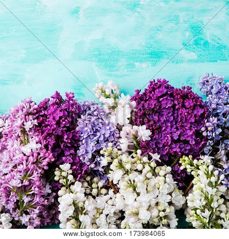 Bunch Of Lilac Flowers On A Turquoise Background. Top View. Copy Space