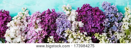 Bunch Of Lilac Flowers On A Turquoise Background. Top View. Copy Space.