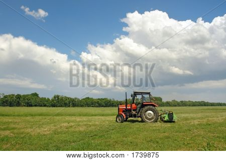 Lo sfalcio erba