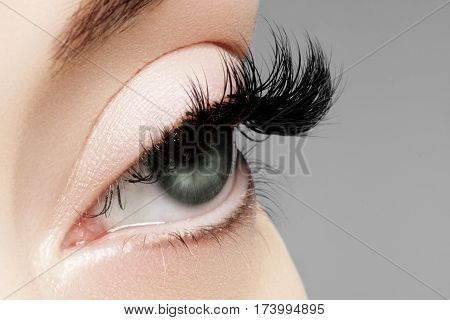Beautiful Female Eye With Extreme Long Eyelashes, Black Liner Makeup. Perfect Make-up, Long Lashes.