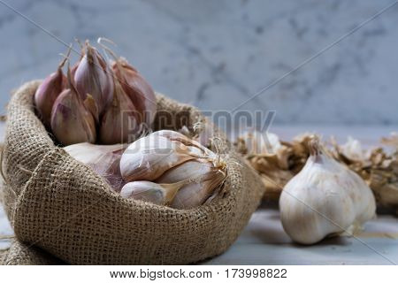 Garlic. Dried French garlic. Red garlic. Violet garlic.Garlic background. garlic bulbs on white marble.