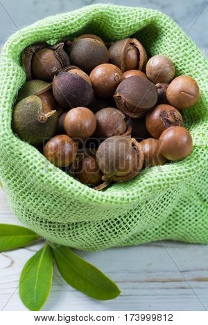 Macadamia nuts harvest close up with leaves