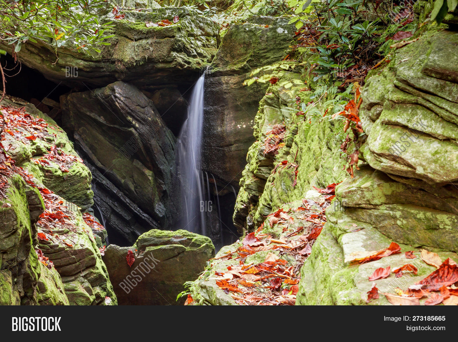 Duggers Creek Falls Image & Photo (Free Trial) Bigstock