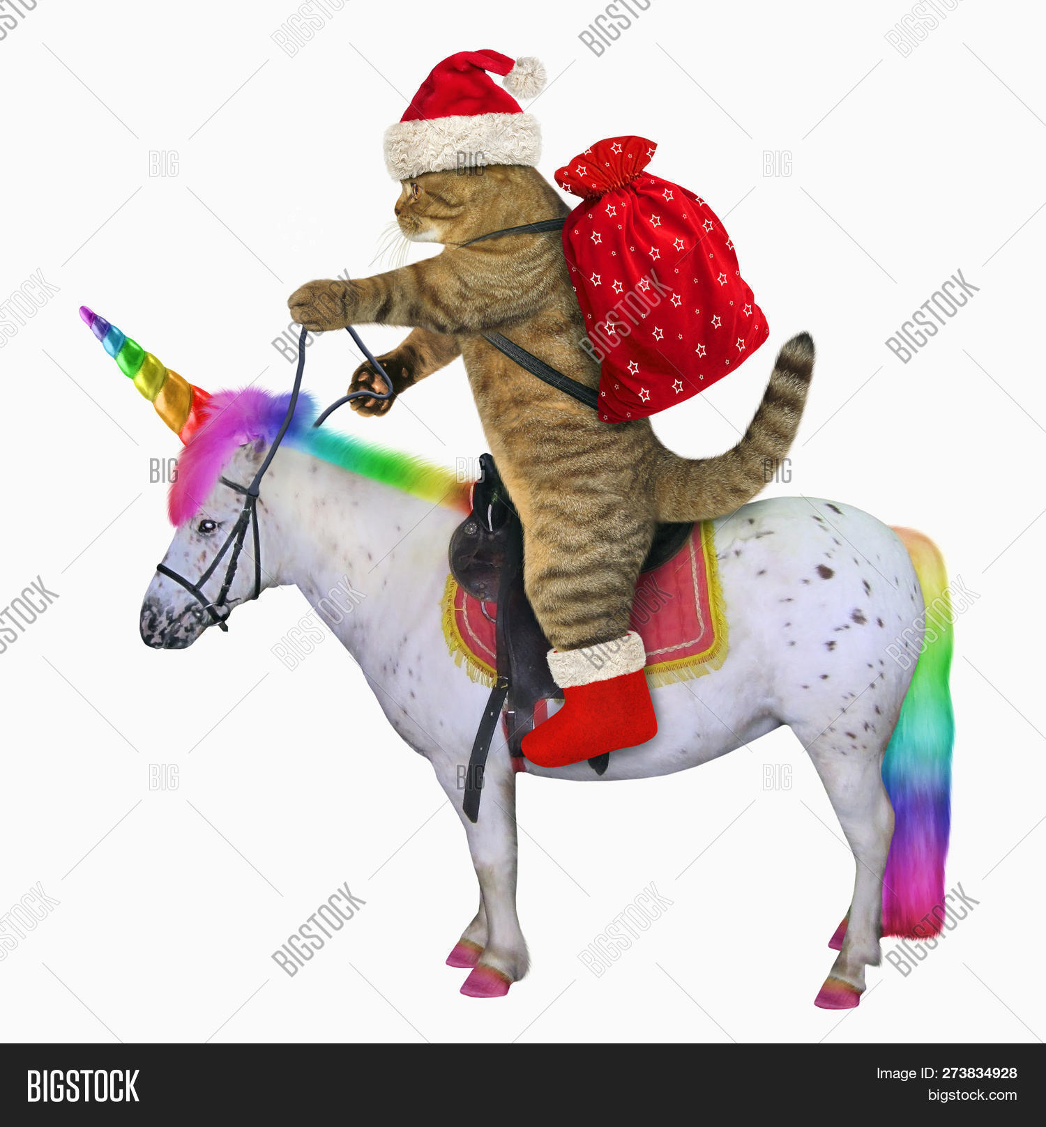 Cat Santa Claus Outfit Image & Photo (Free Trial) | Bigstock