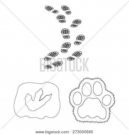 Vector Design Of Track  And Footstep Icon. Collection Of Track  And Silhouette  Vector Icon For Stoc