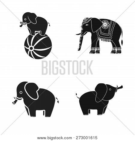 Vector Illustration Of Elephant And Asian Logo. Set Of Elephant And Elephant Stock Vector Illustrati