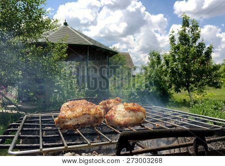 Beautiful Tasty Food From Slice Grilled Chicken Meats, Roast On Metal Brazier. Meat Of Bird With Cri
