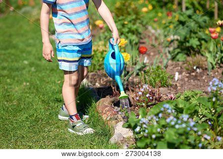 Boy With Blue Watering Can In His Hands Helping To Water The Flowers In A Countryside Croft.